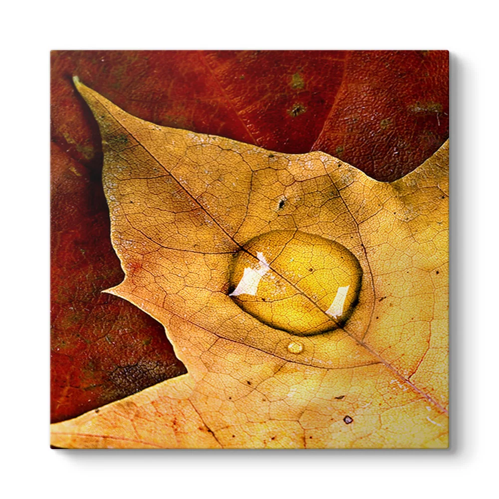 Leaves Drop Tablosu - Model 3